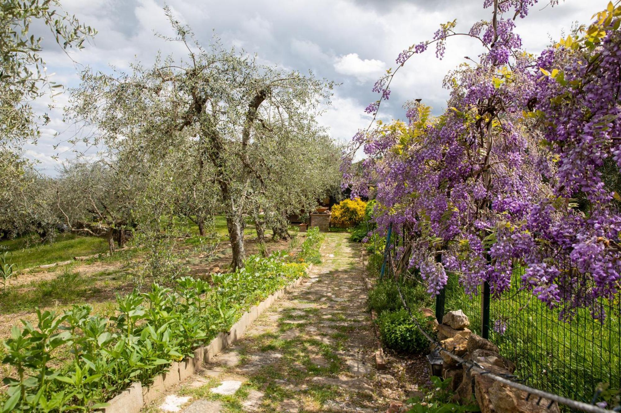 Il Poggio Dell'Eremita Lägenhet Rigomagno Exteriör bild